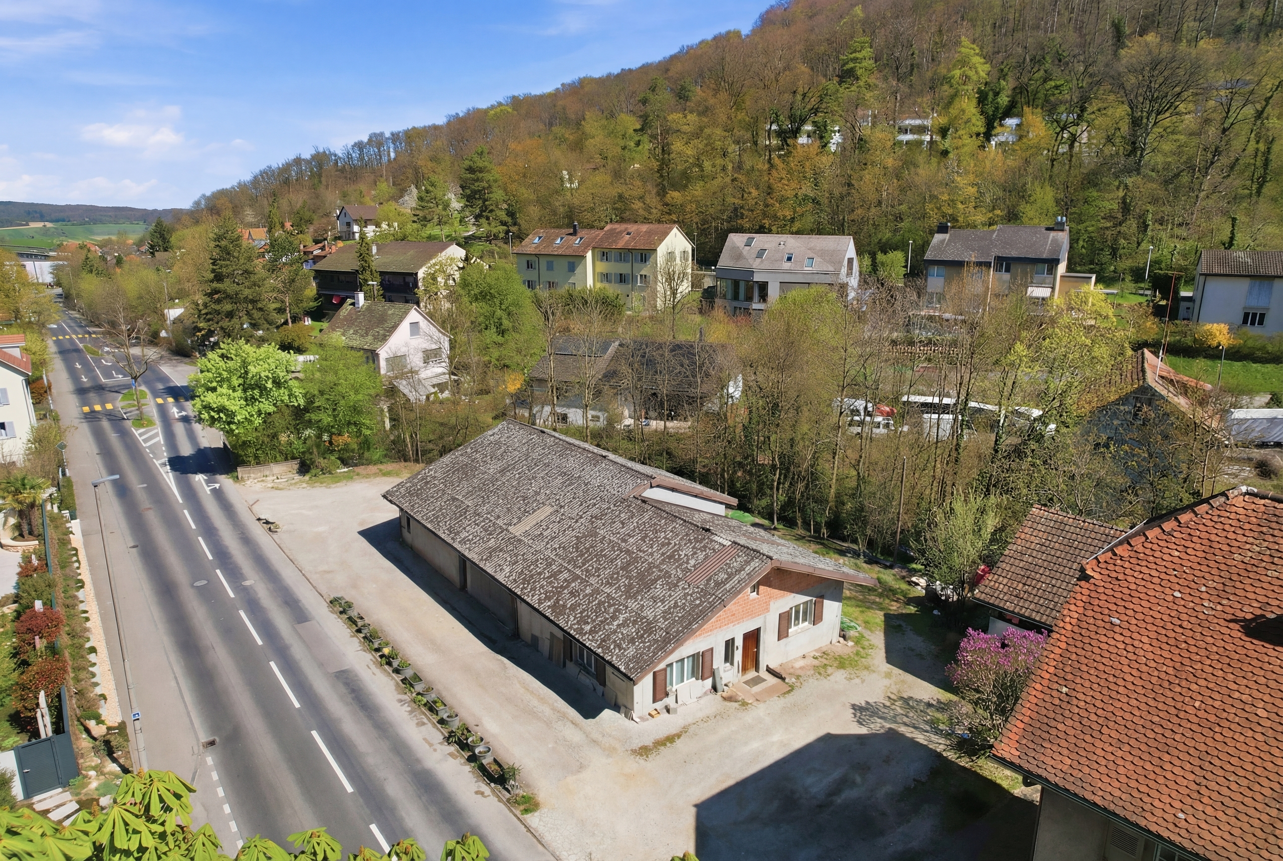 Immagine di copertina