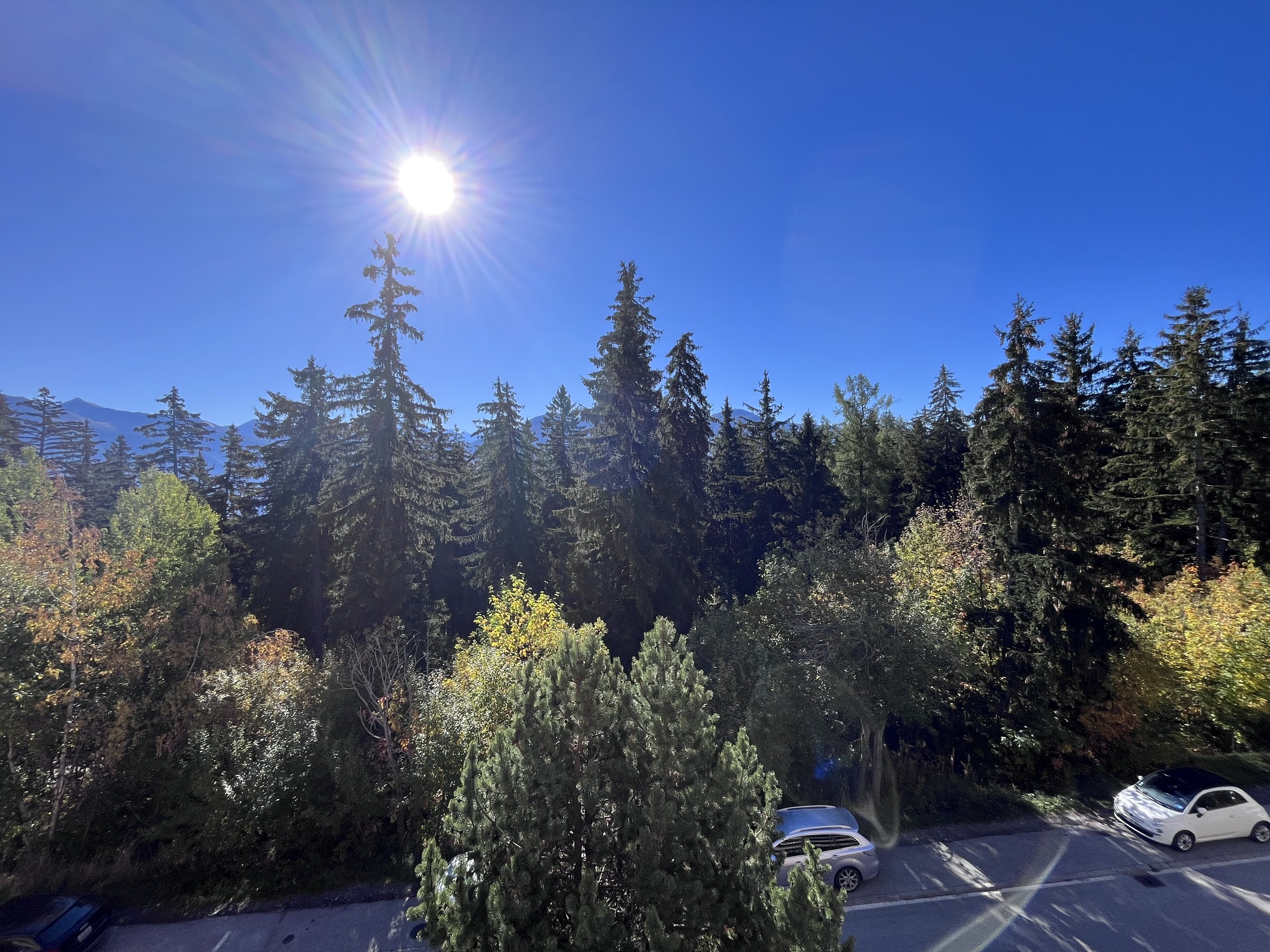Crans-Forest B, 3.5 pièces,2ème étage 