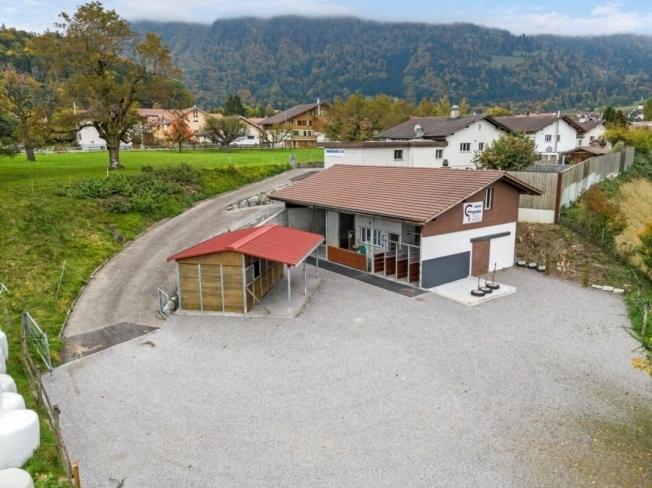 Immagine di copertina