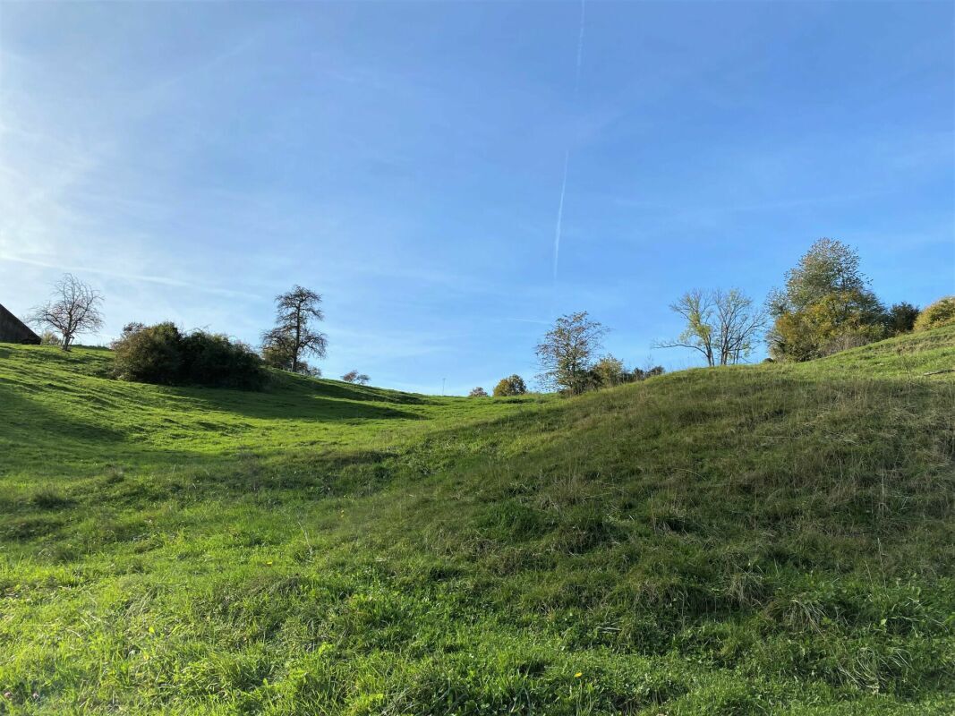 Bauparzelle, Steig, Herdern Bauparzelle, Steig, Herdern