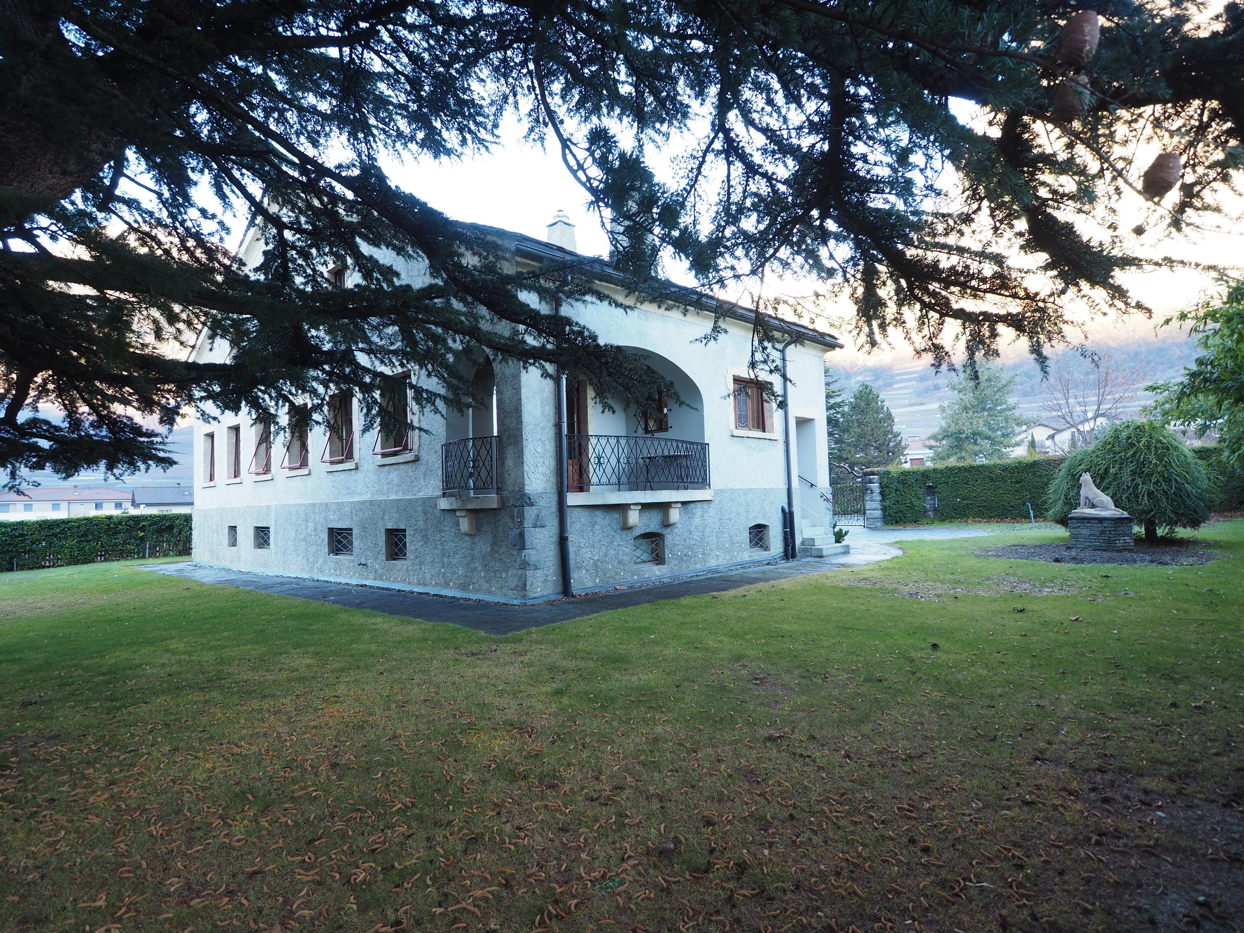 Picture 9