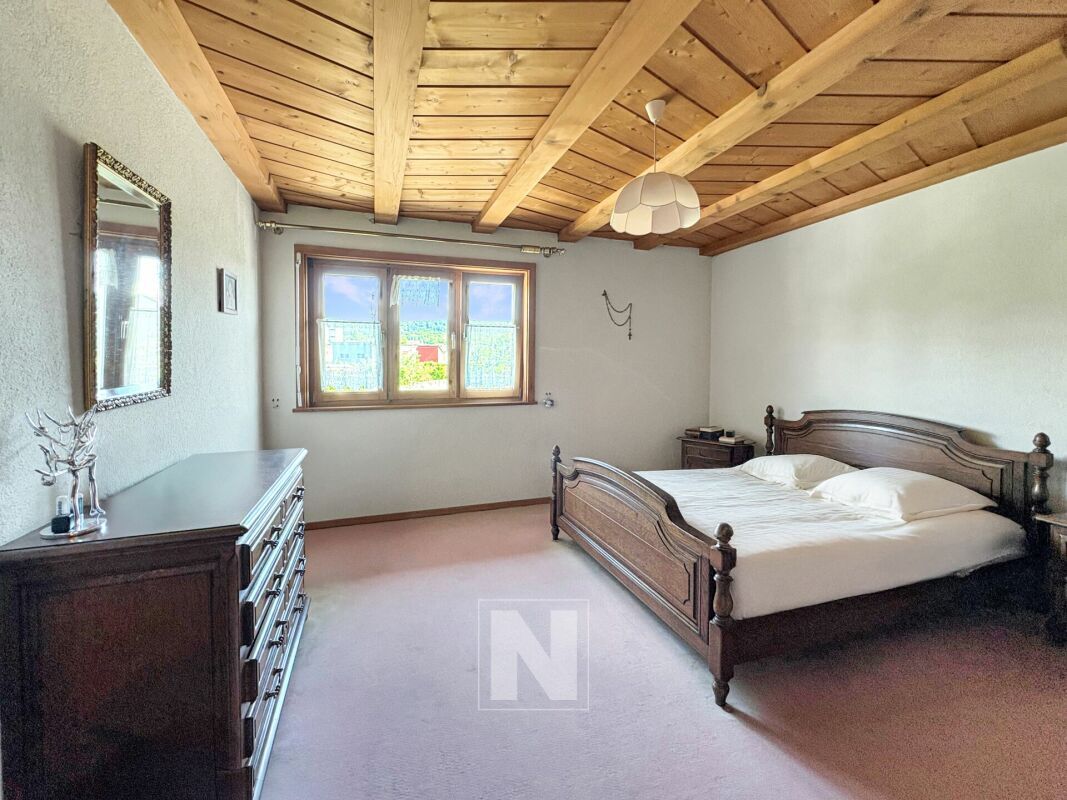 Immagine di copertina 3