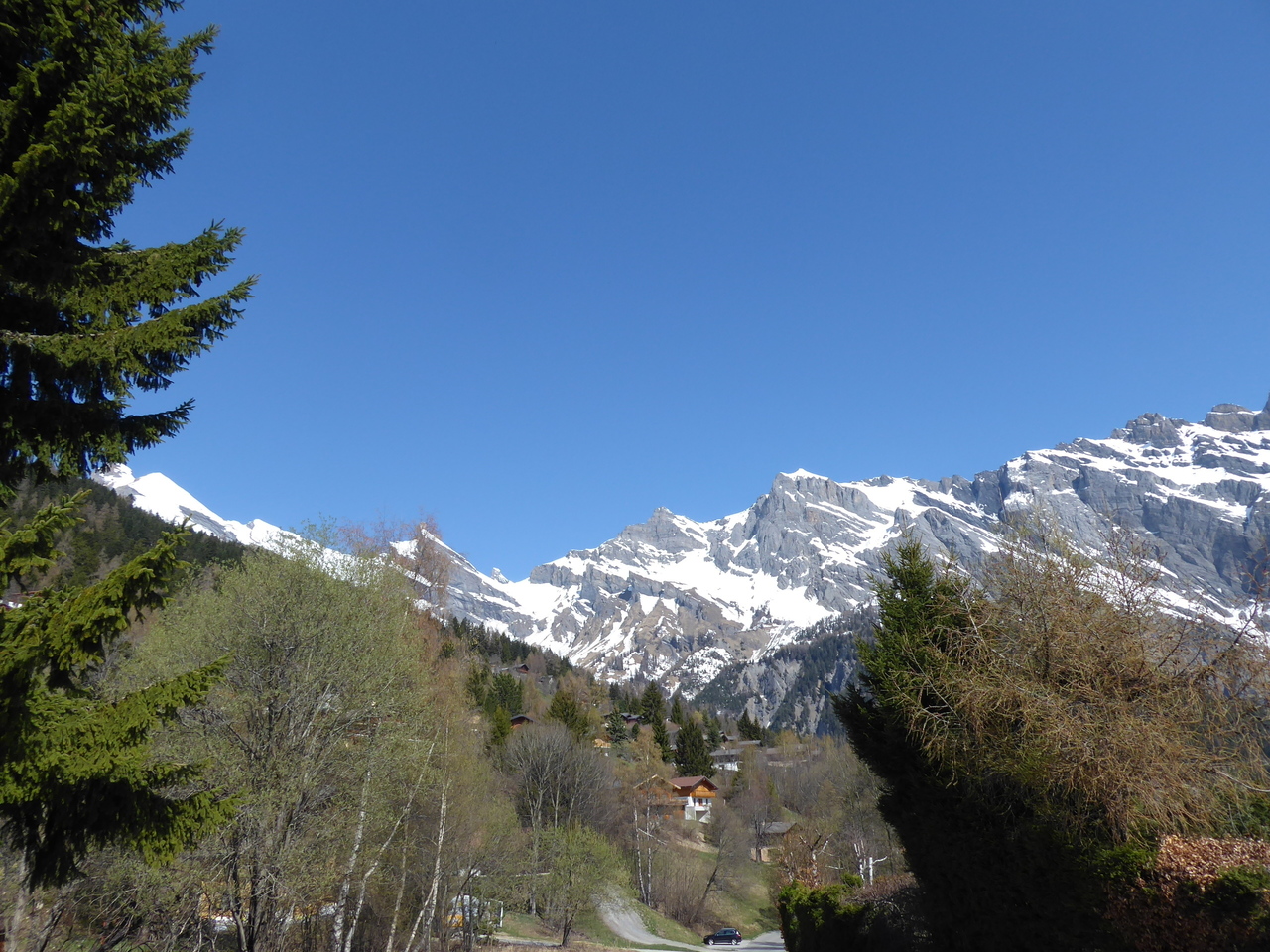 Photo 14