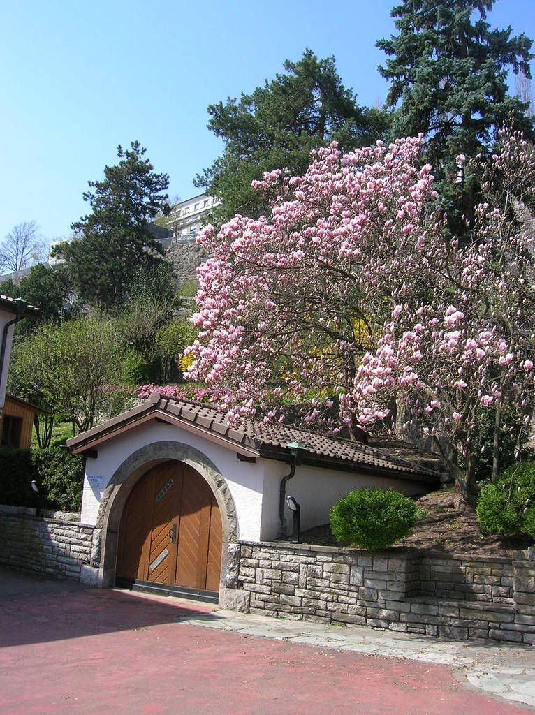 Photo 25