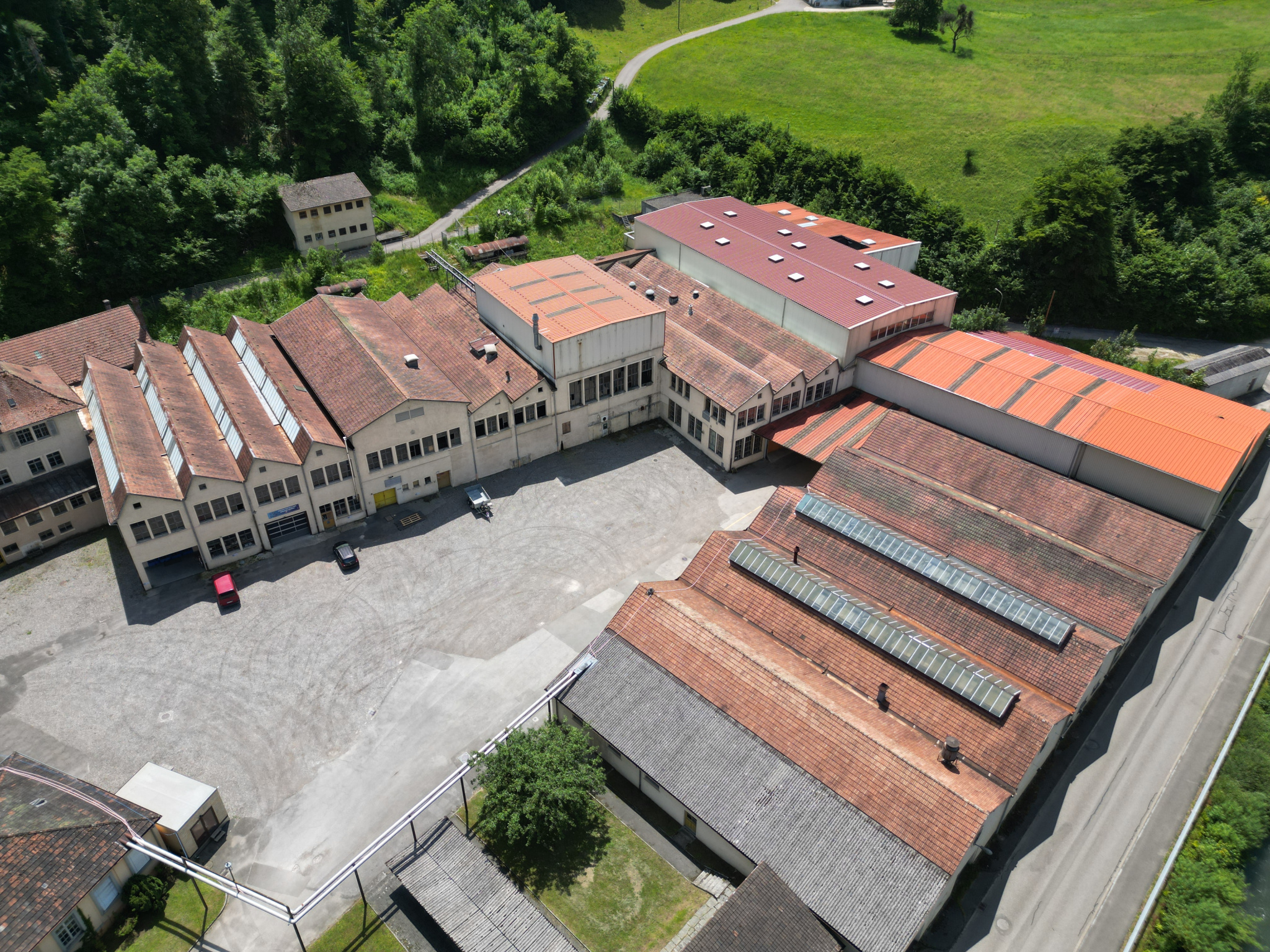 Picture 12