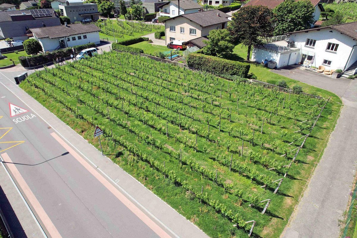 Picture 3