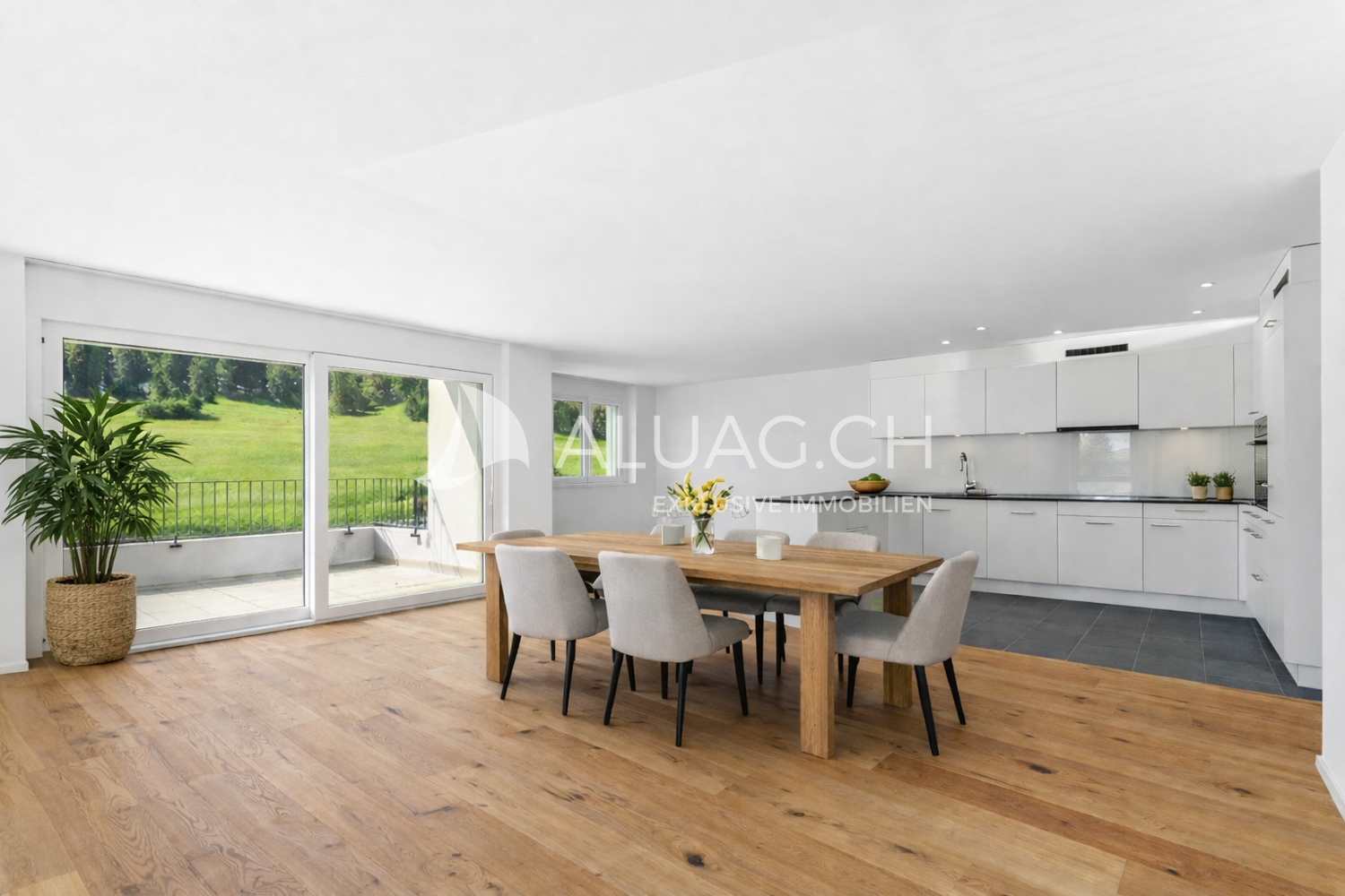 Premier coup d'oeil 1