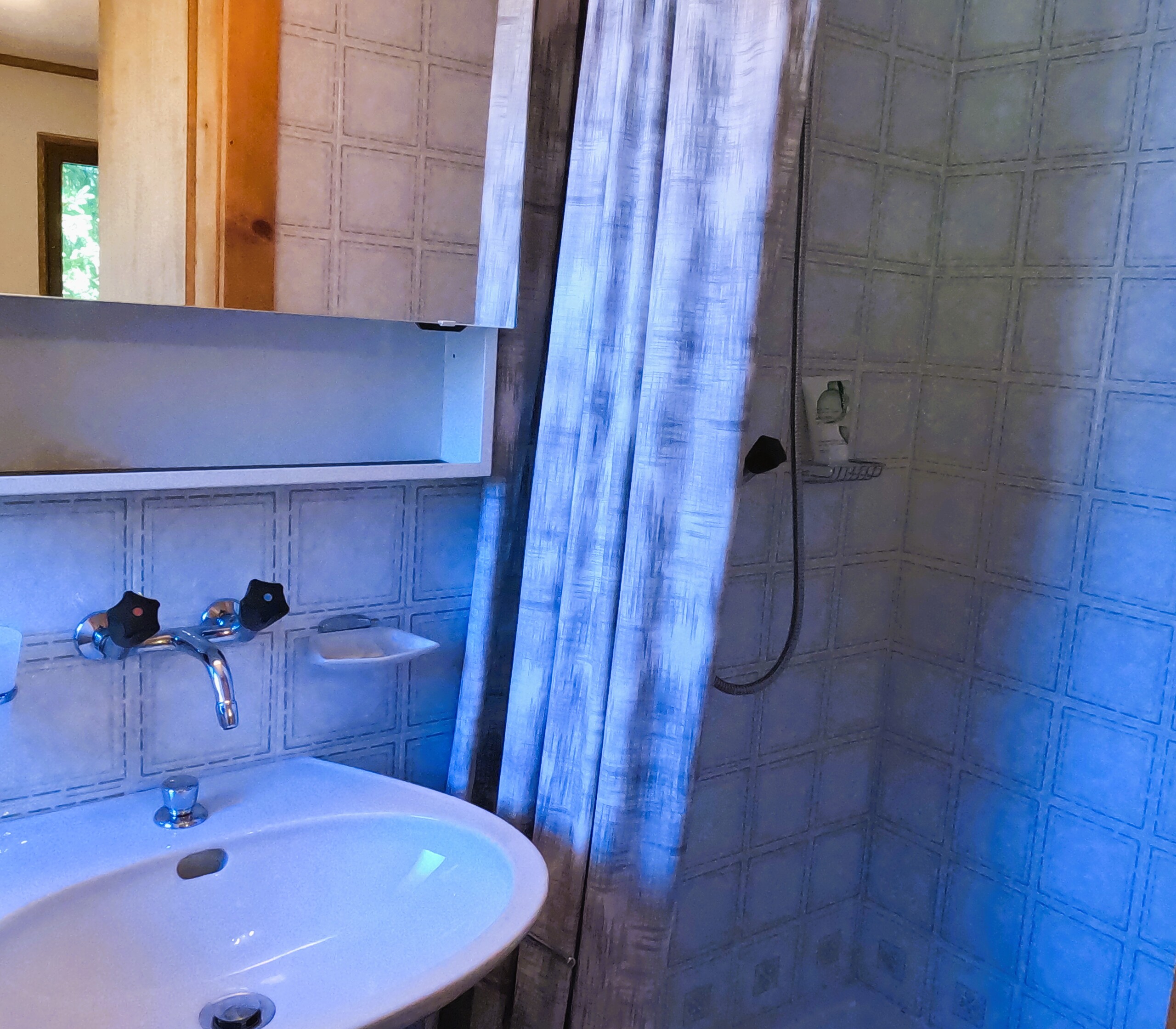 Salle d'eau avec douche, lavabo et WC