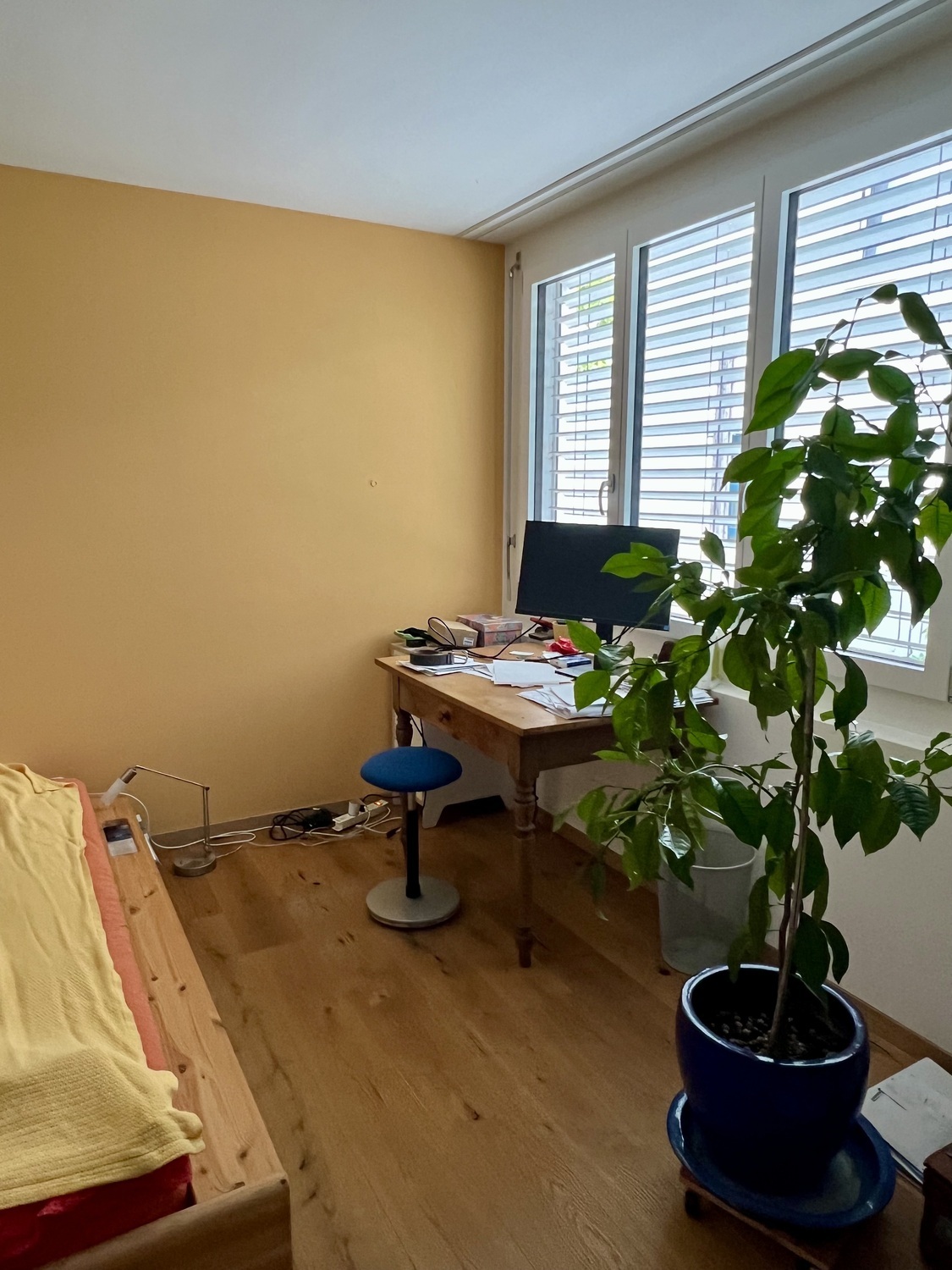 Foto 6