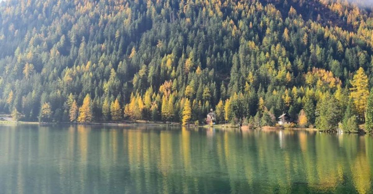 Foto 1