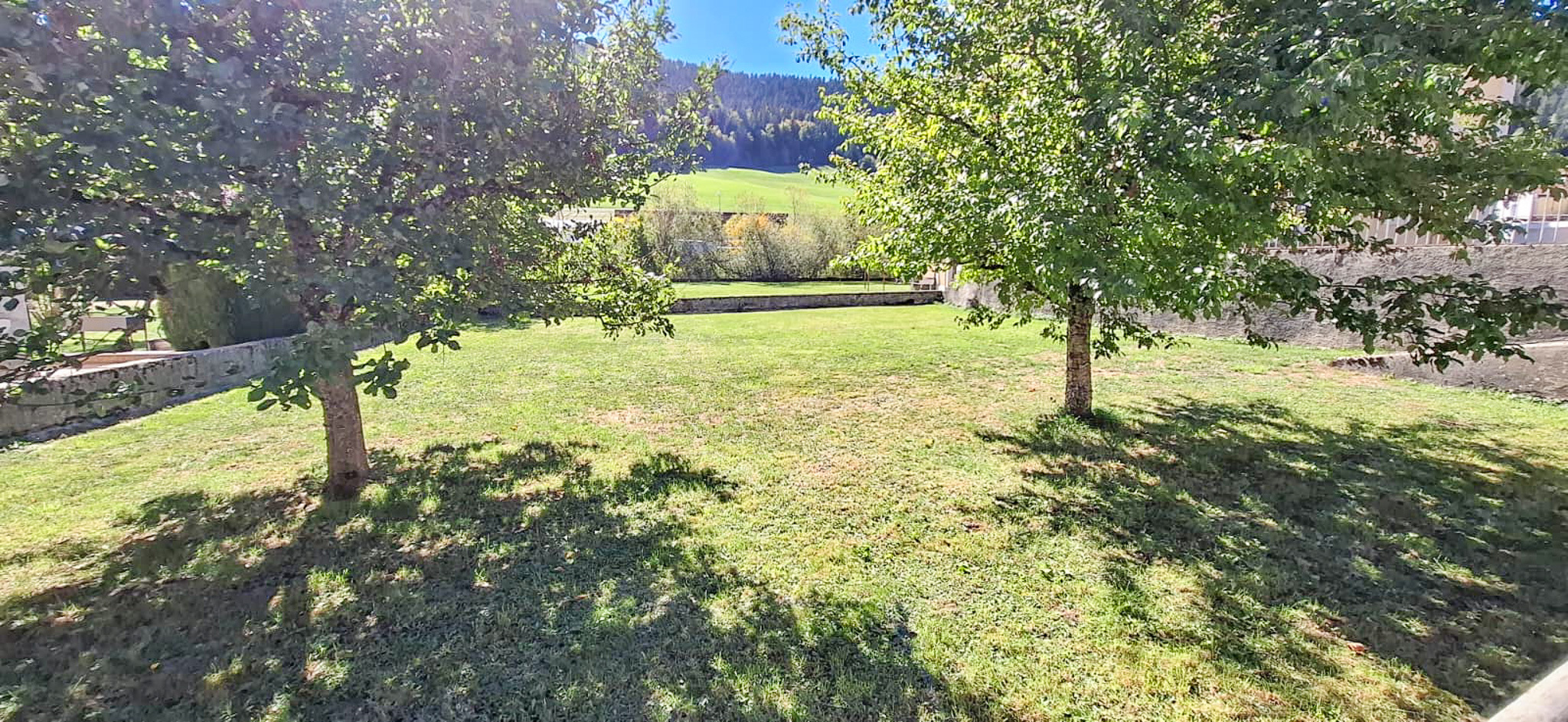 Jardin - Parcelle BF 1758