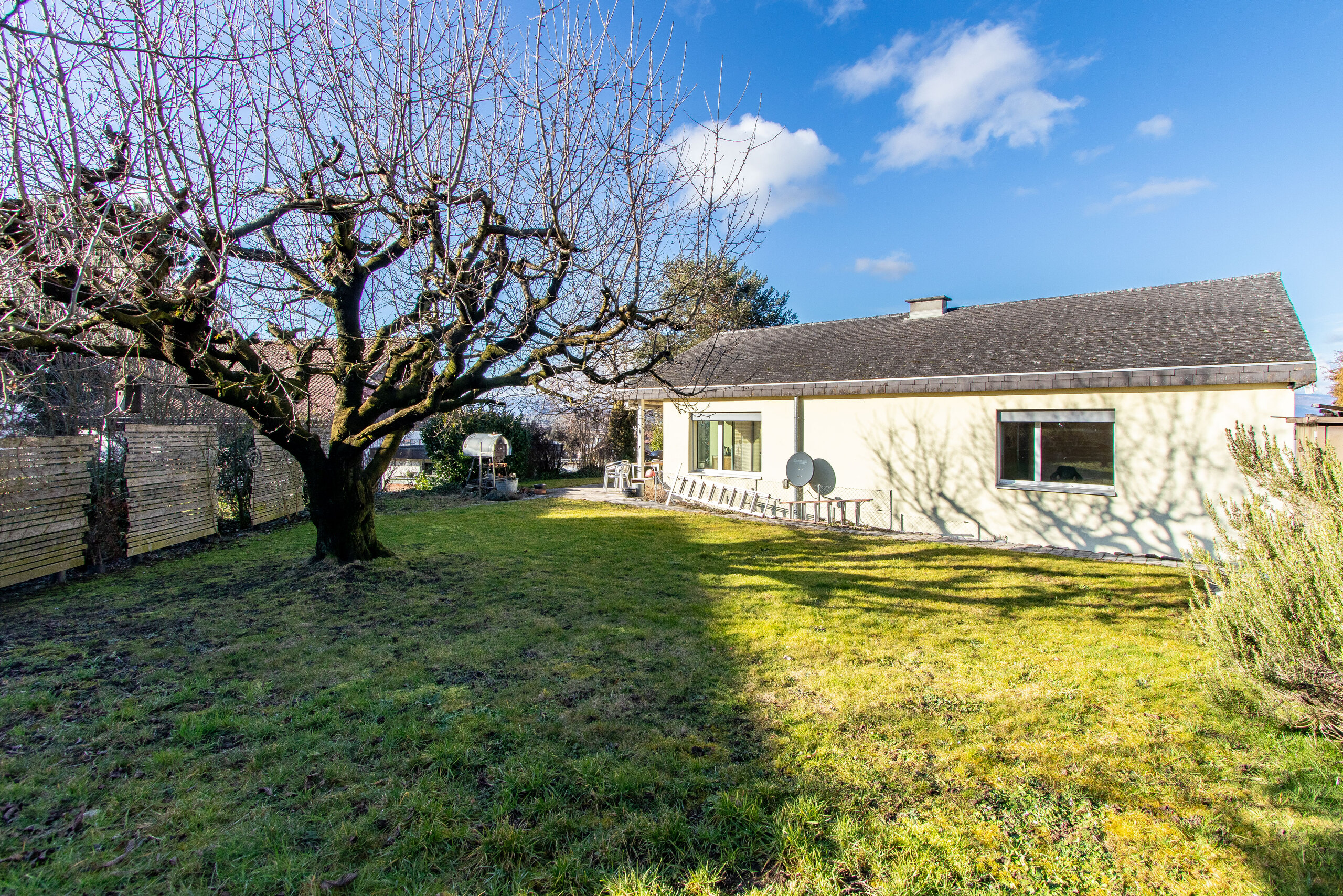 Jardin / Façade sud