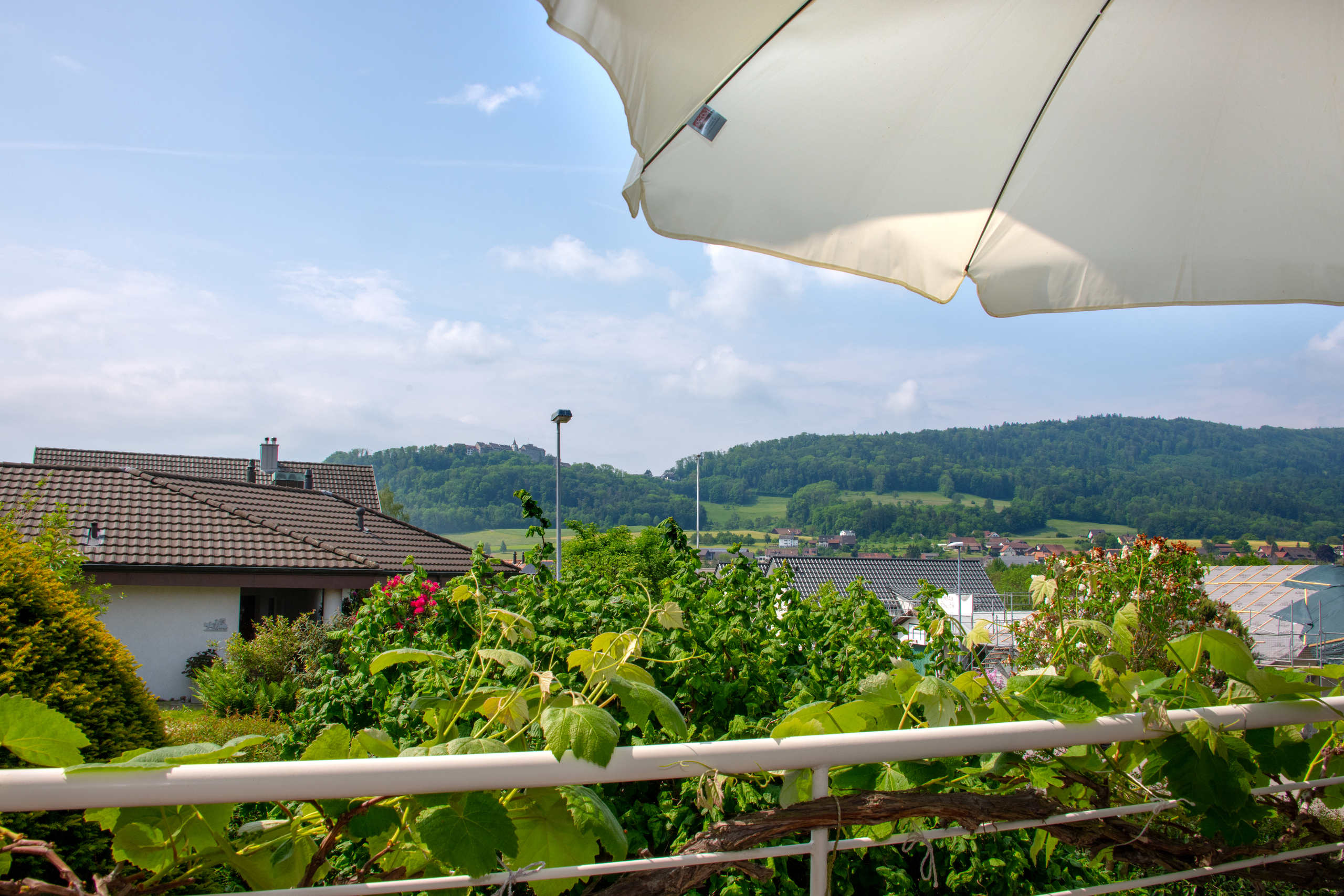 Traumaussicht bis zur Lägern Traumaussicht bis zur Lägern