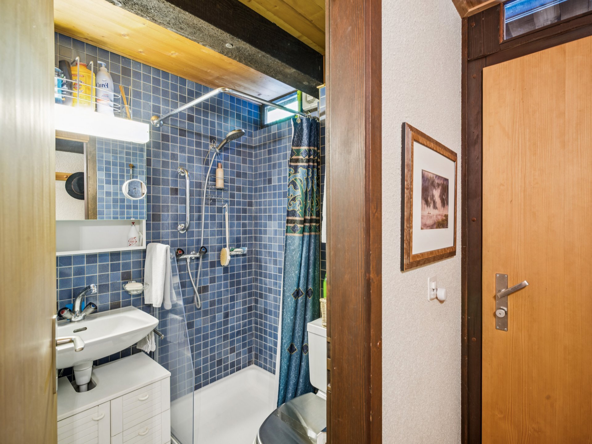 Salle de douche - entrée