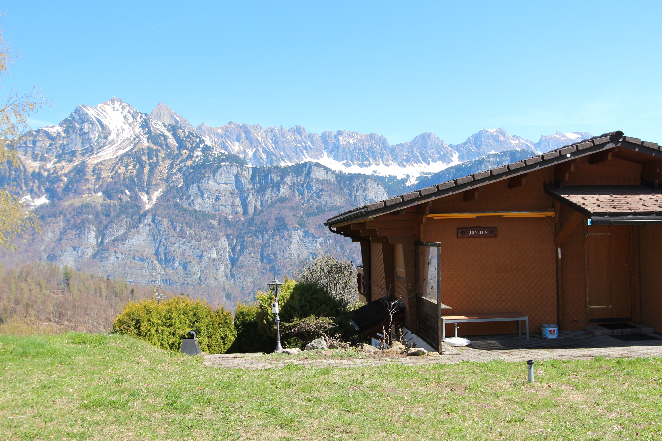 Premier coup d'oeil 1