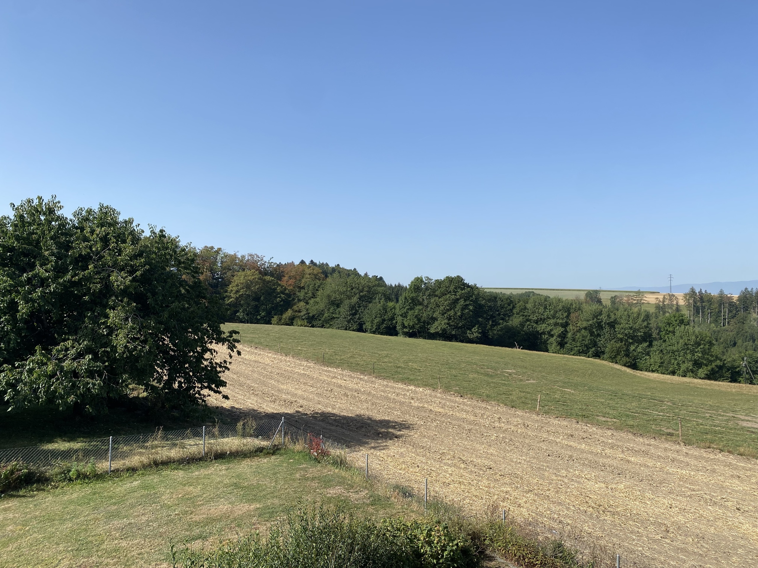 Vue depuis la terrasse Vue depuis la terrasse