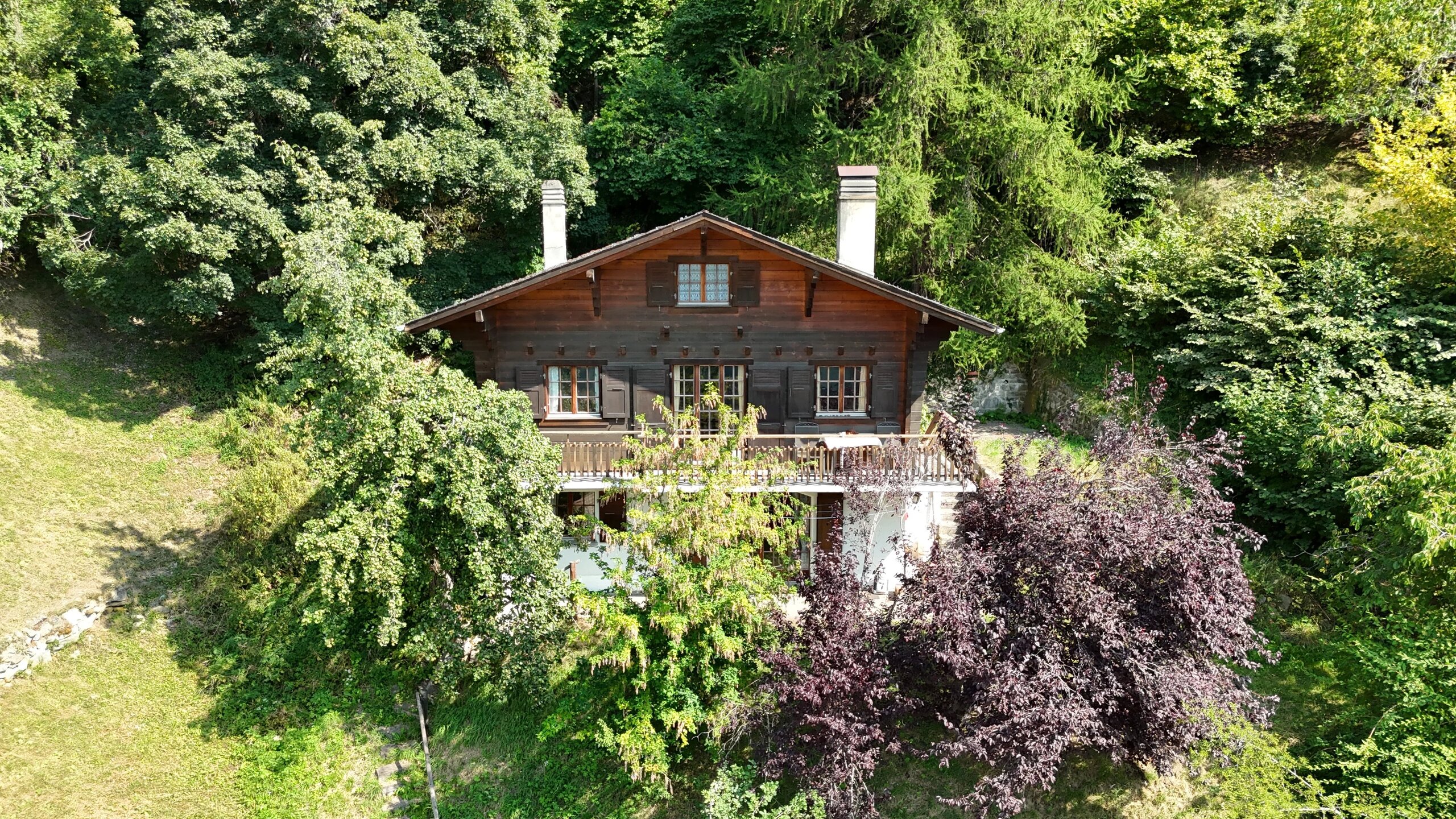 Foto 7