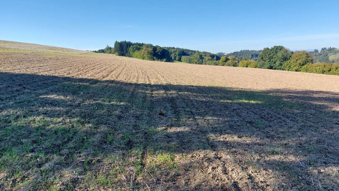 parcelle 404 parcelle 404