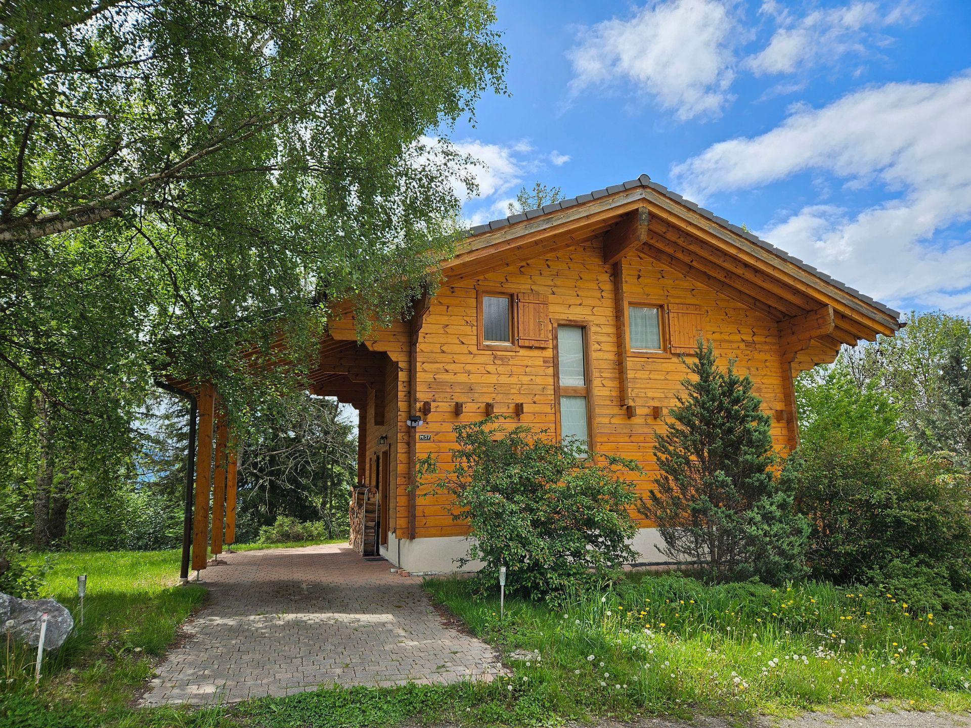 Immagine di copertina