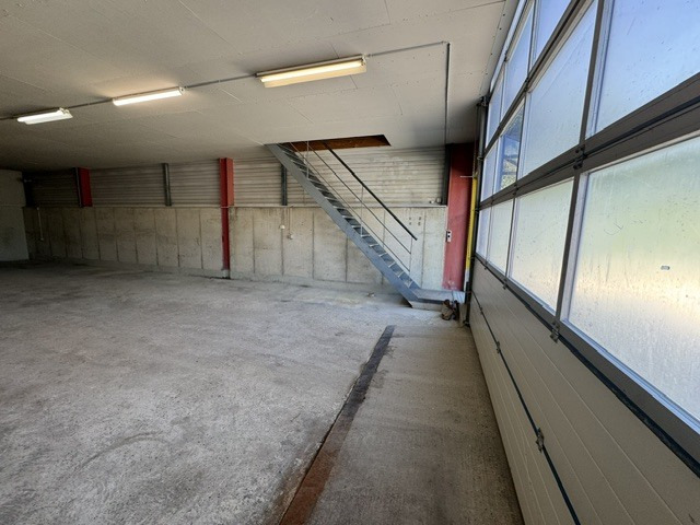 Foto 6