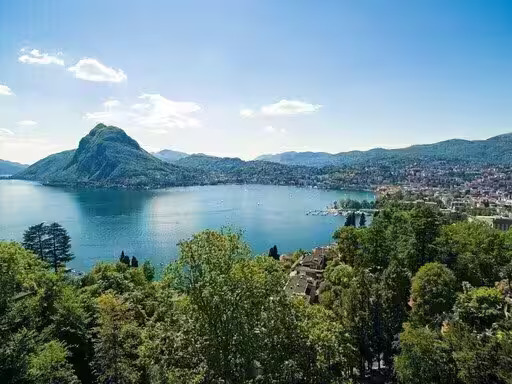 Immagine di copertina