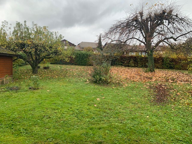 the backyard of a property with a large lawn, apple trees, a shed, and a fruit tree