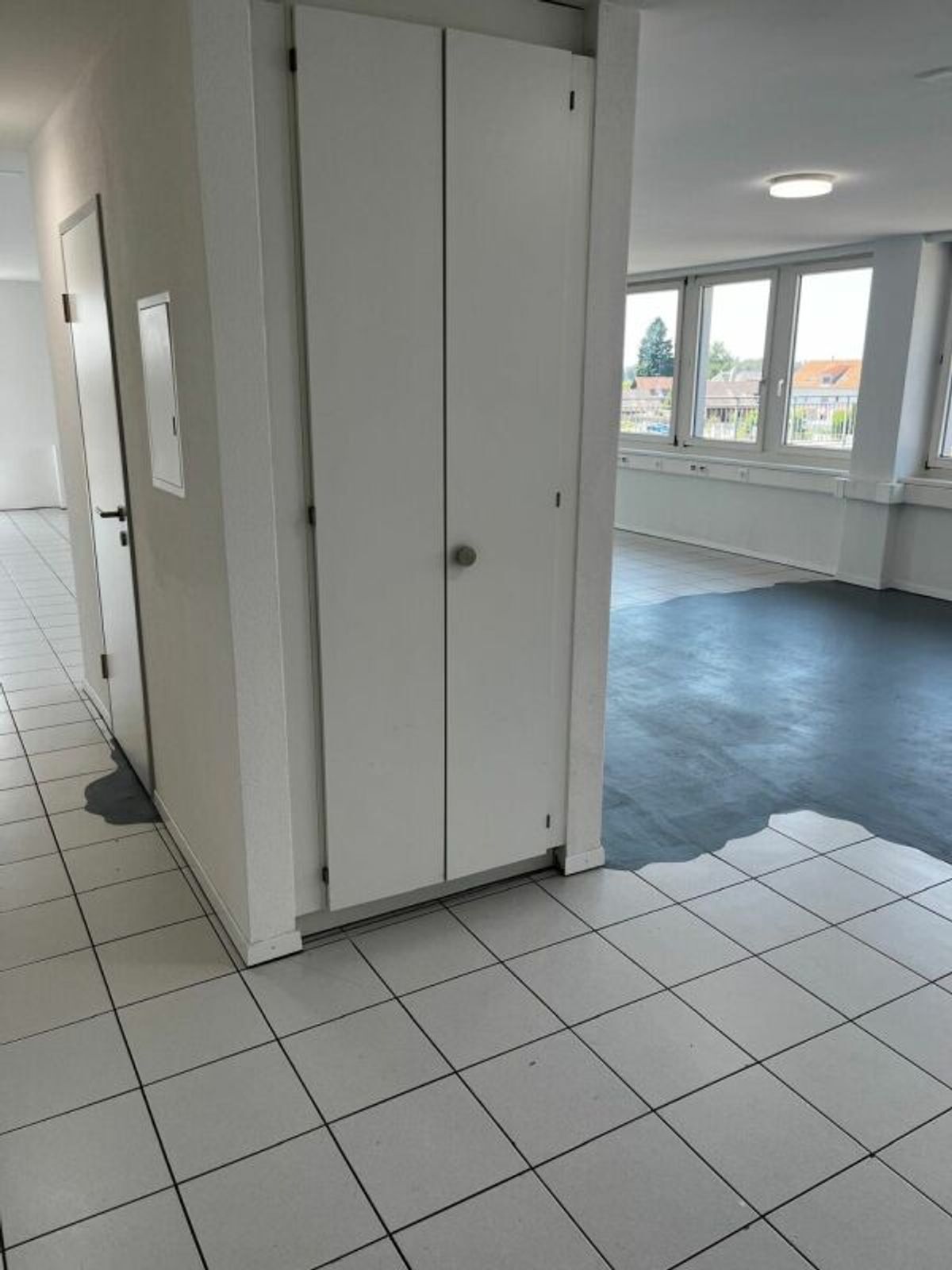 Picture 7