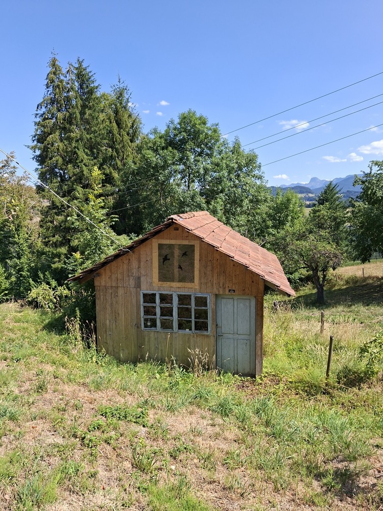 Bienenhaus Bienenhaus