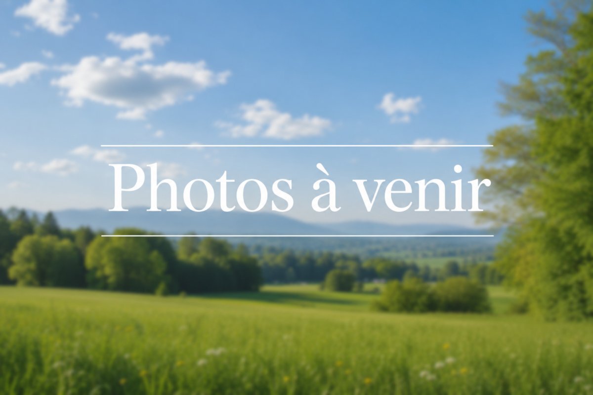 Titelbild