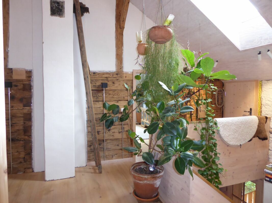 Foto 8