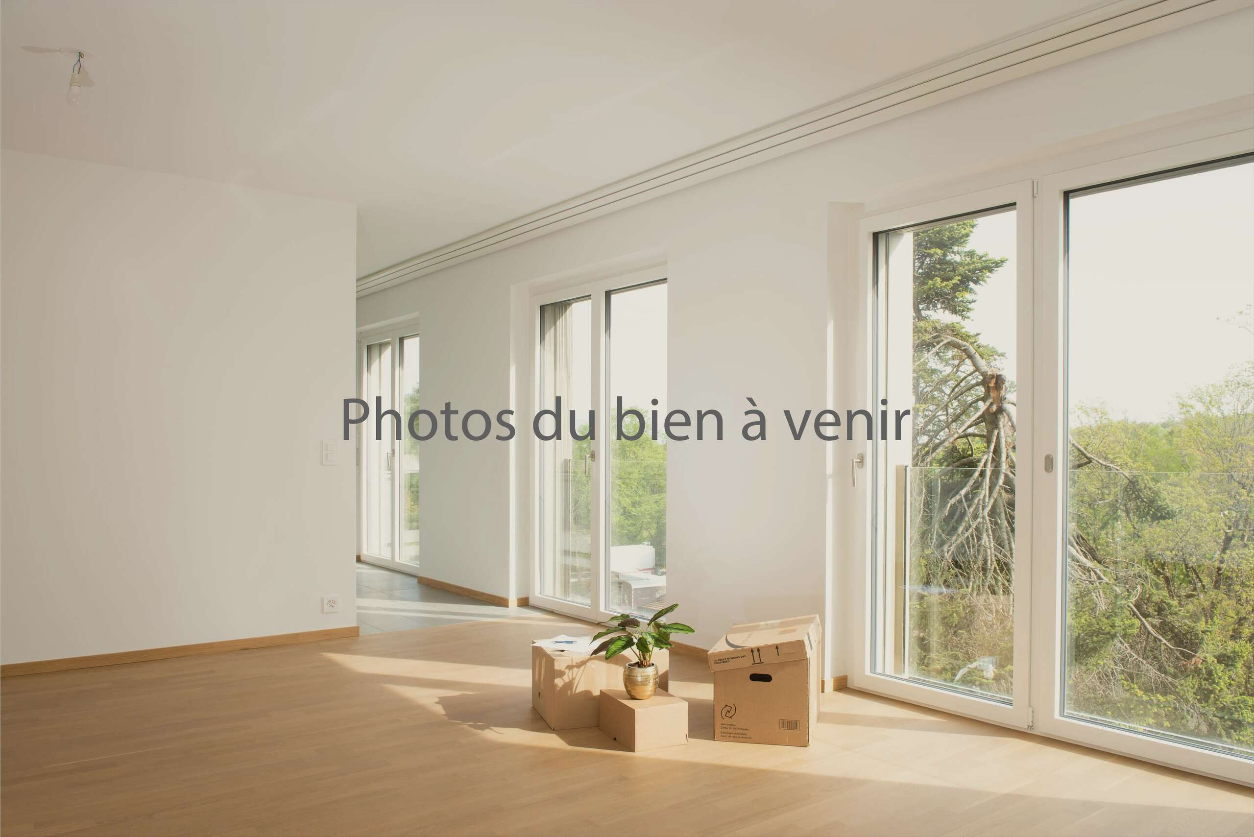 Premier coup d'oeil