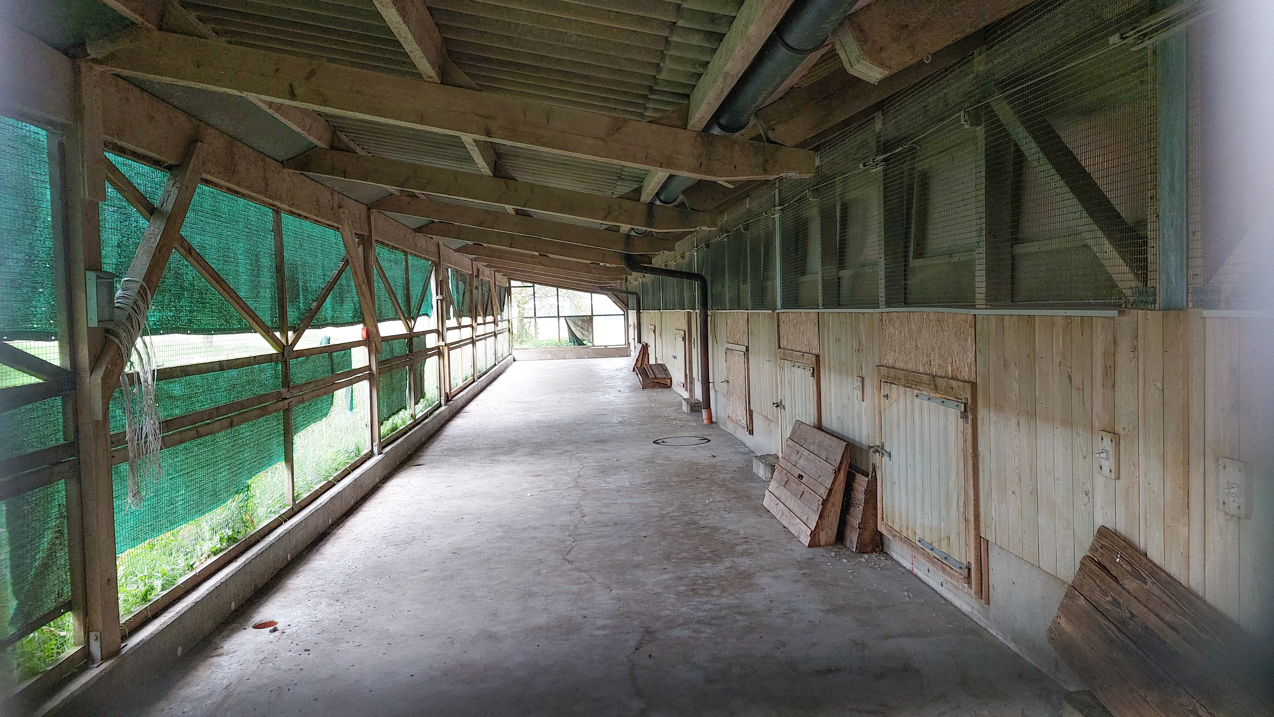 BF 37 | Halle avicole | Couvert