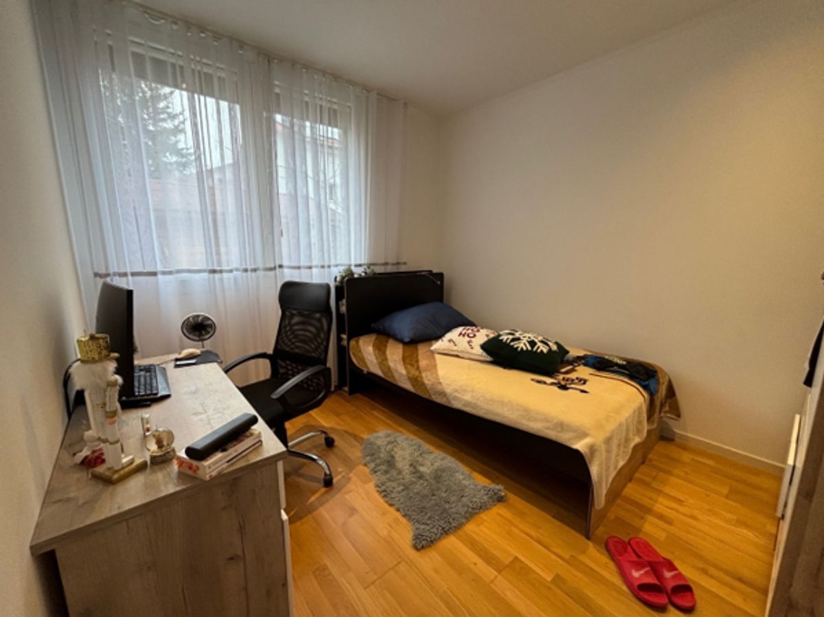 Picture 6