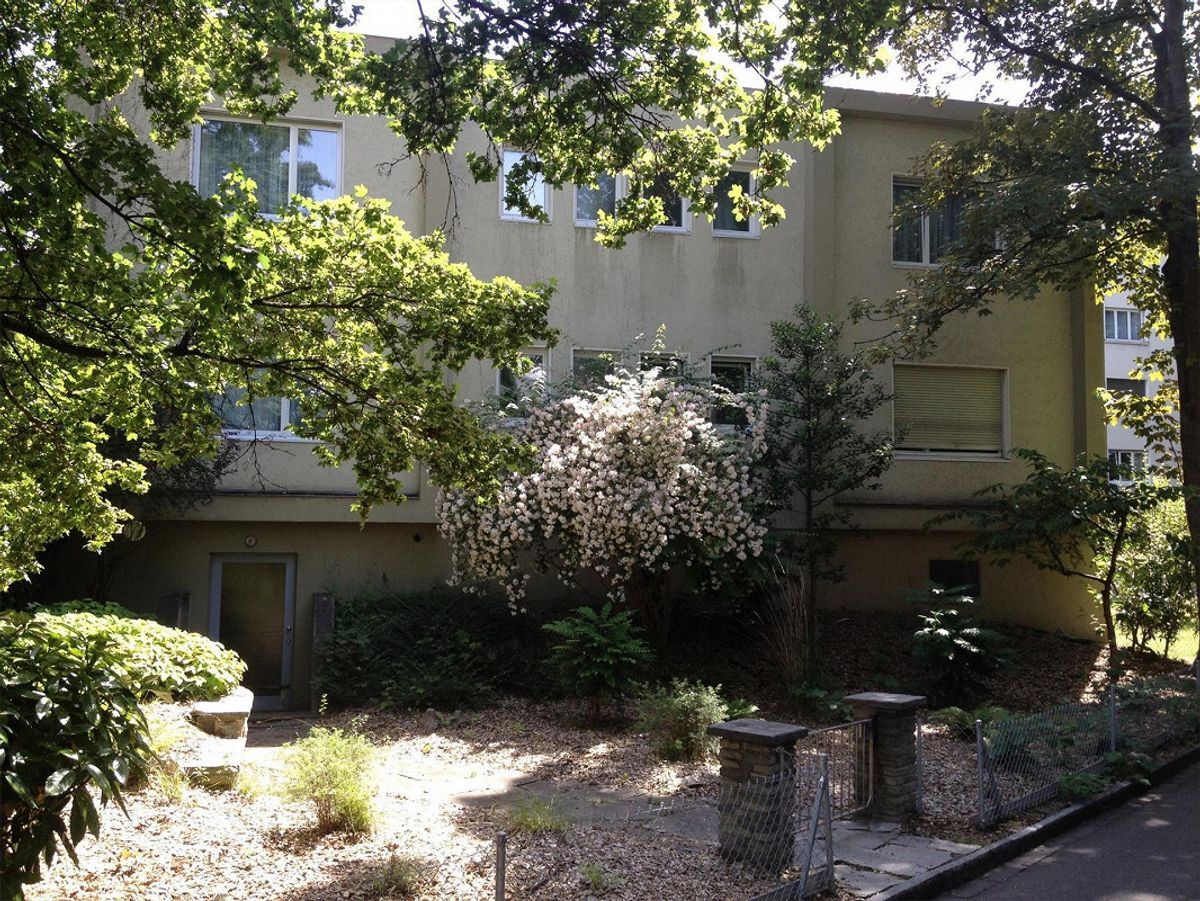 Photo 8