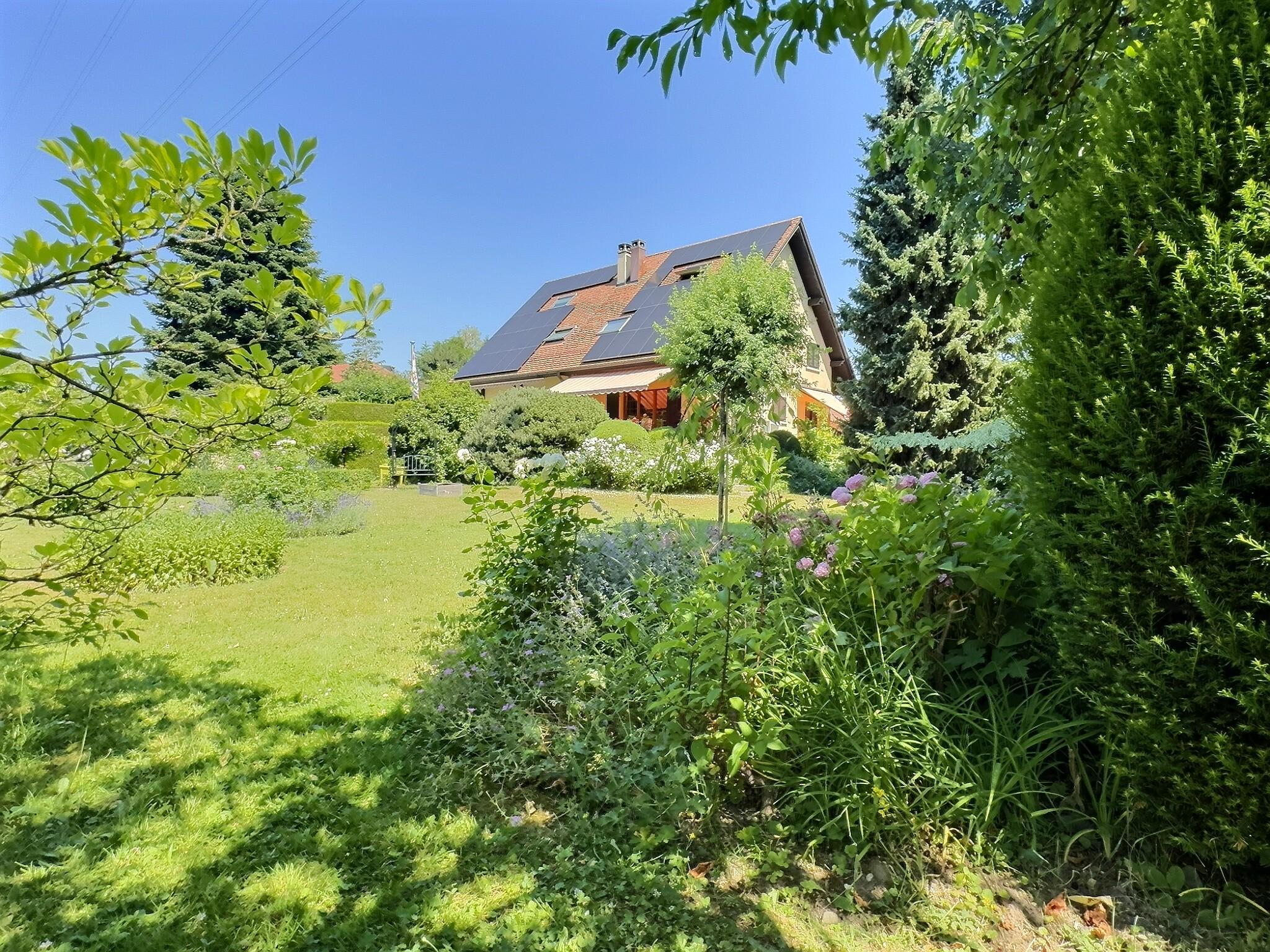 Photo 5