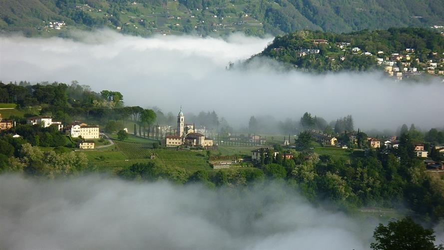 Immagine di copertina