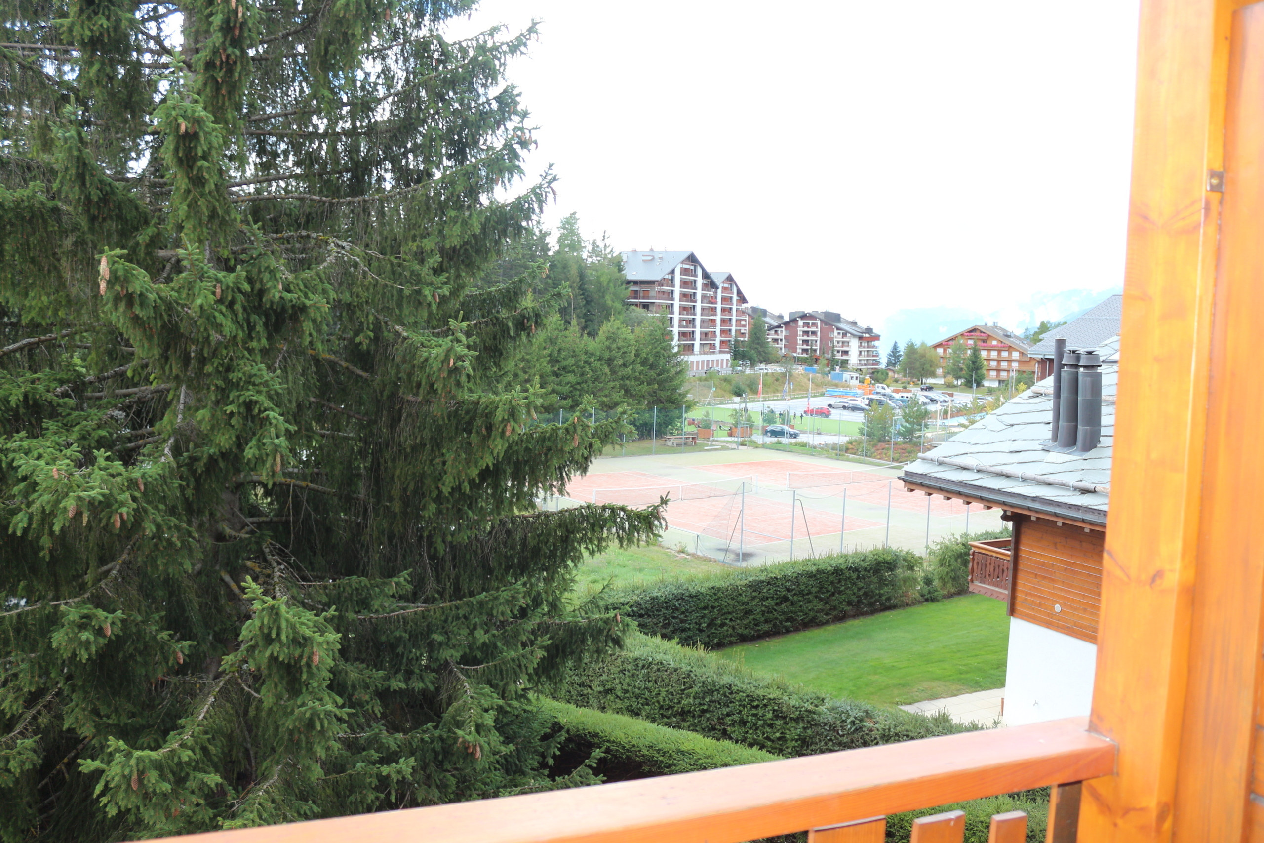Photo 4