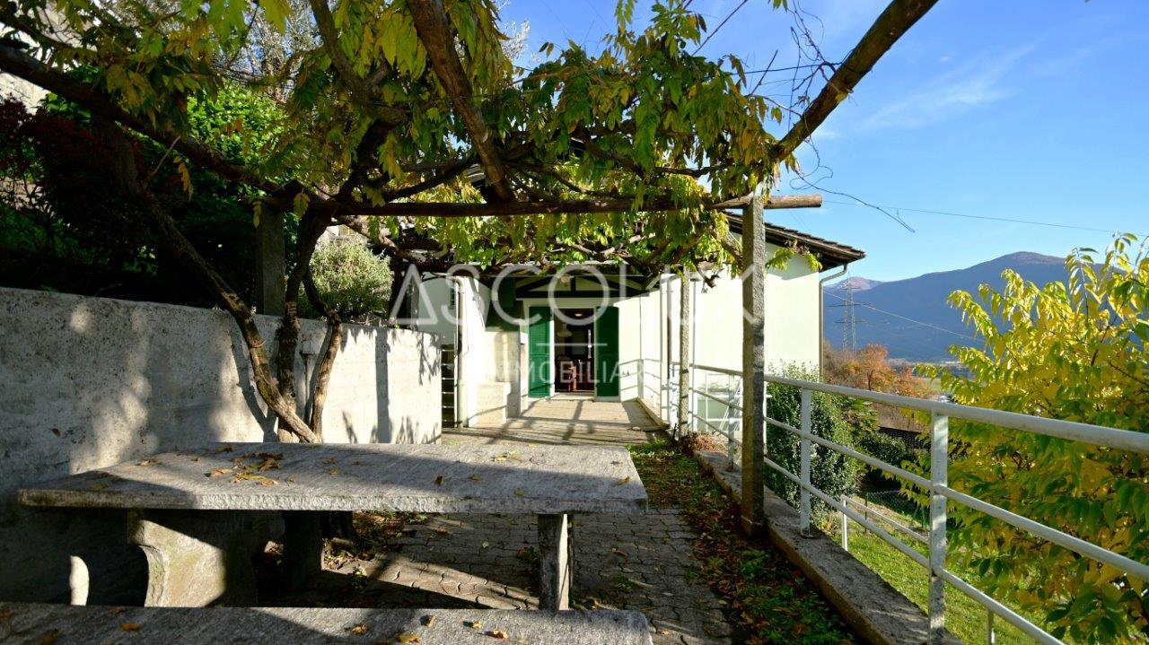 Picture 12
