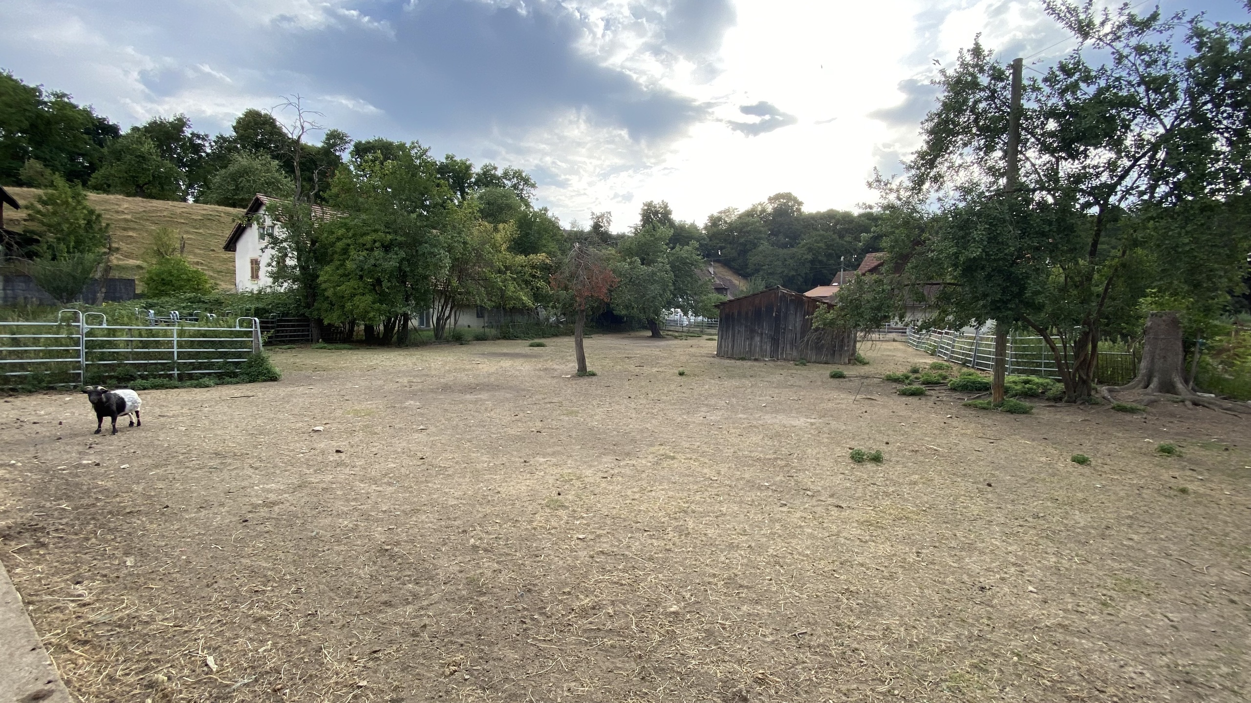 Photo 25