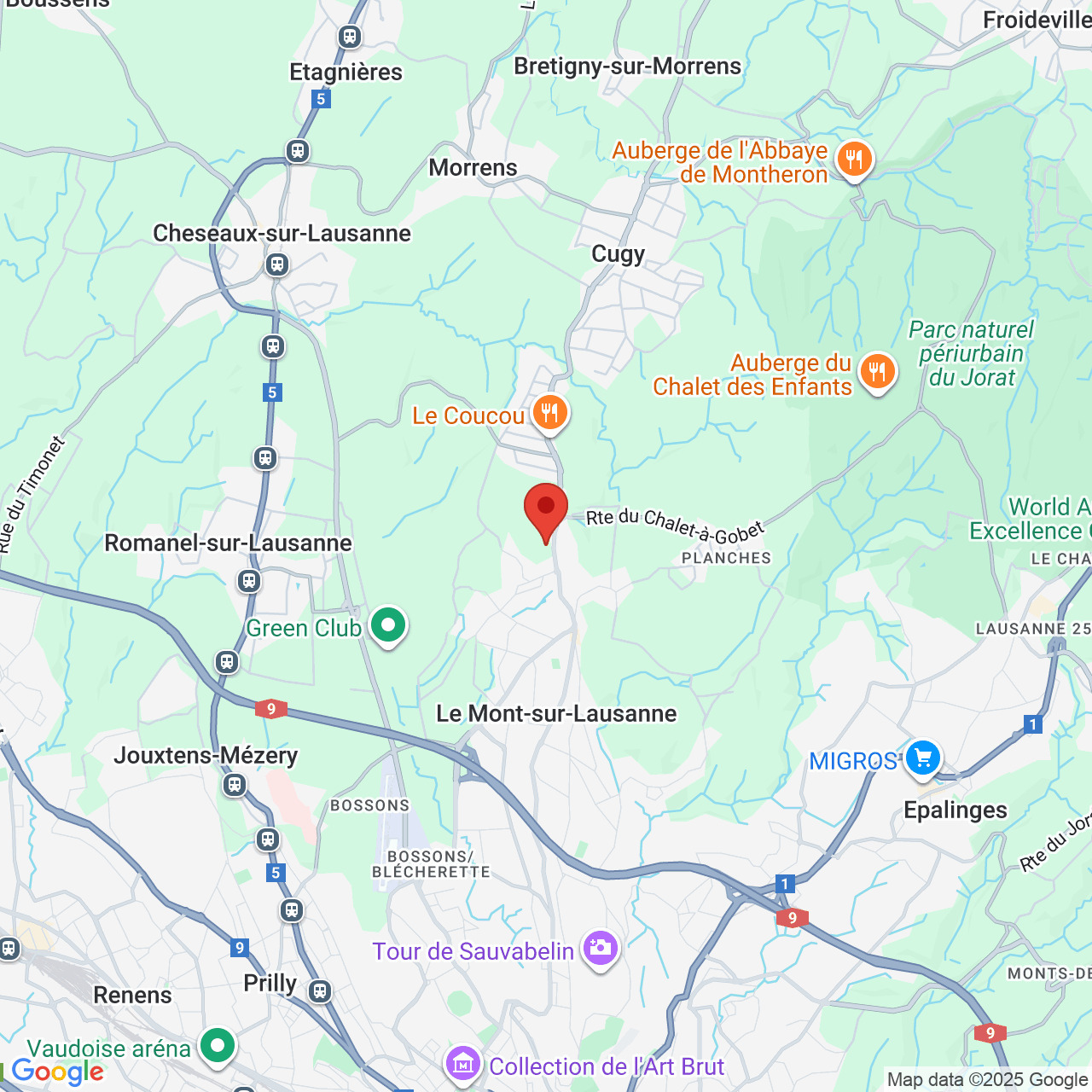 Immosol | Les Haies Vives au Mont-sur-Lausanne | Plan de Situation