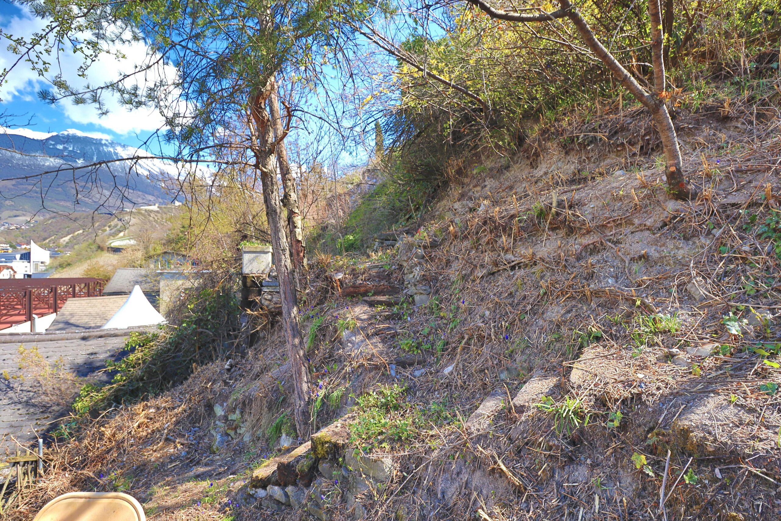 Photo 26