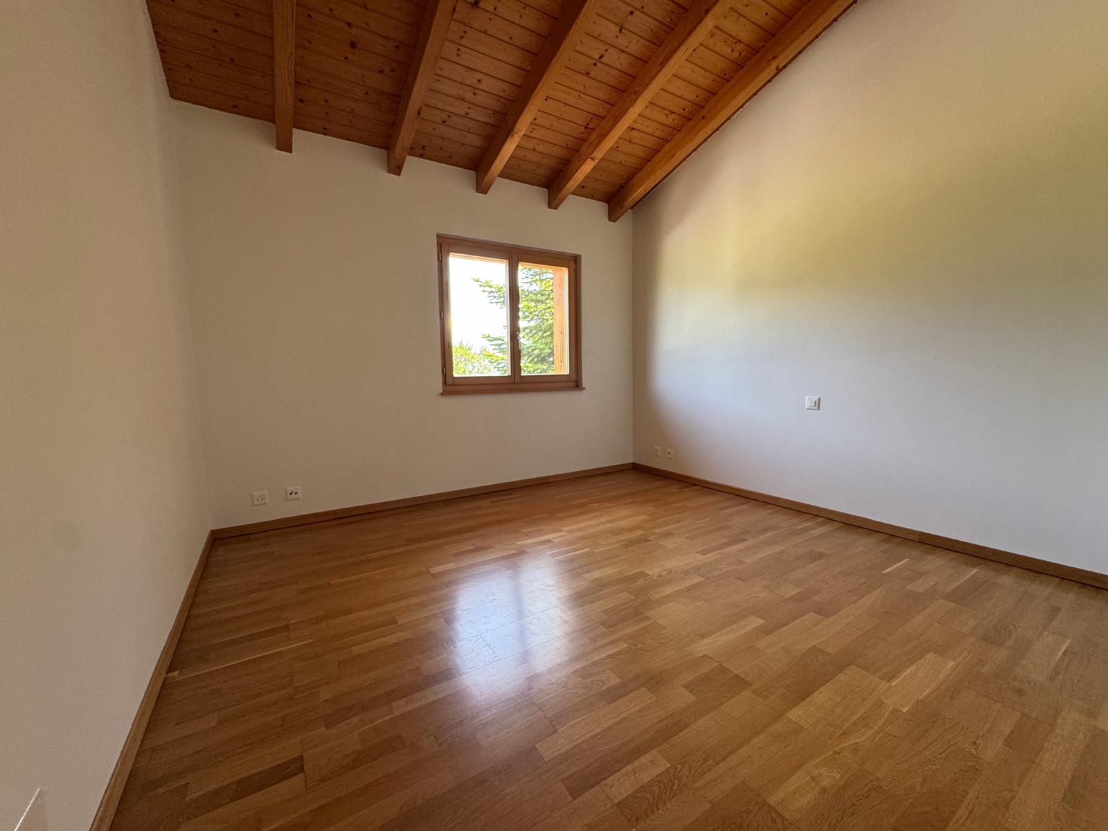Interior view 5
