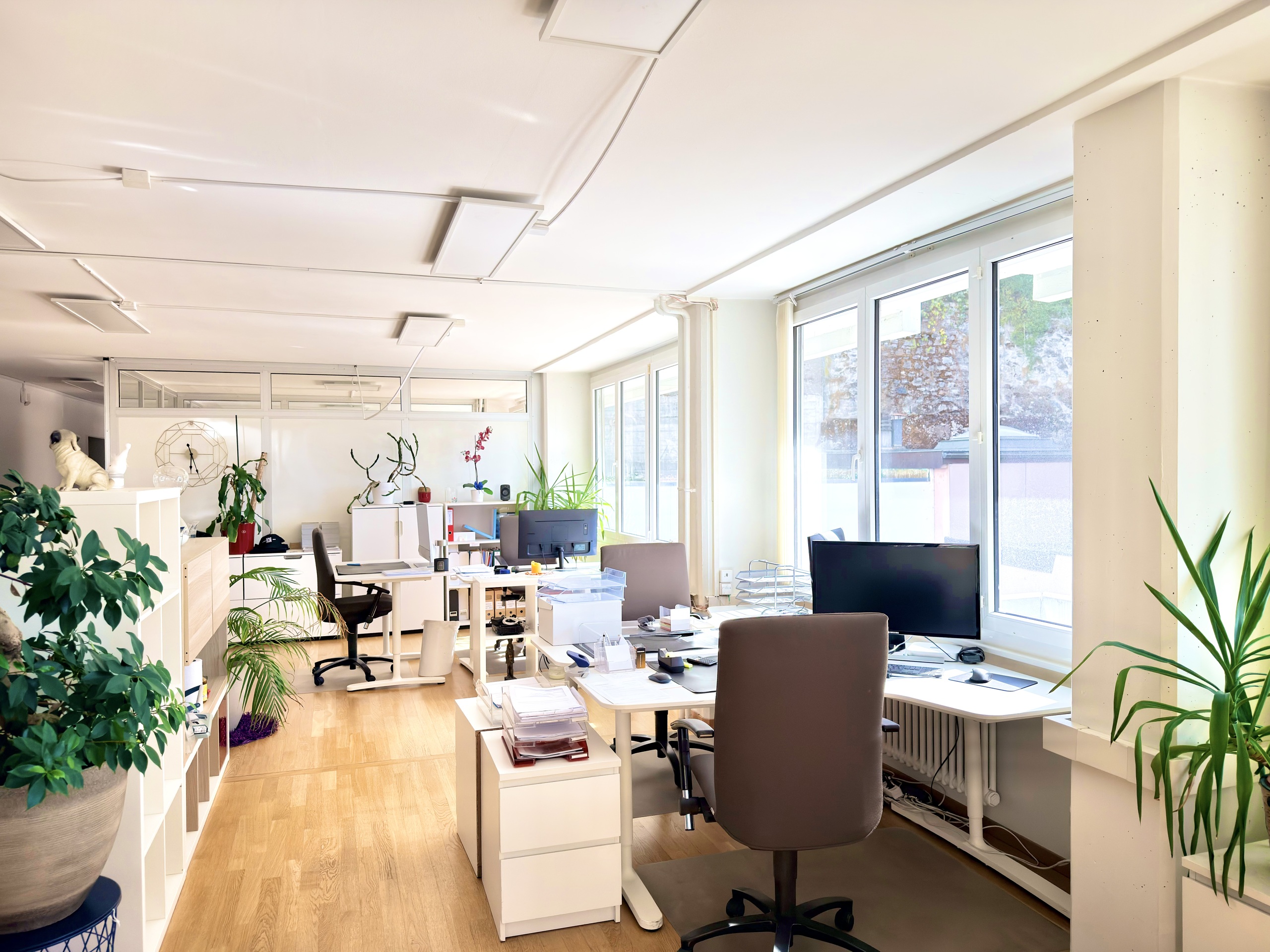 Interior view 6