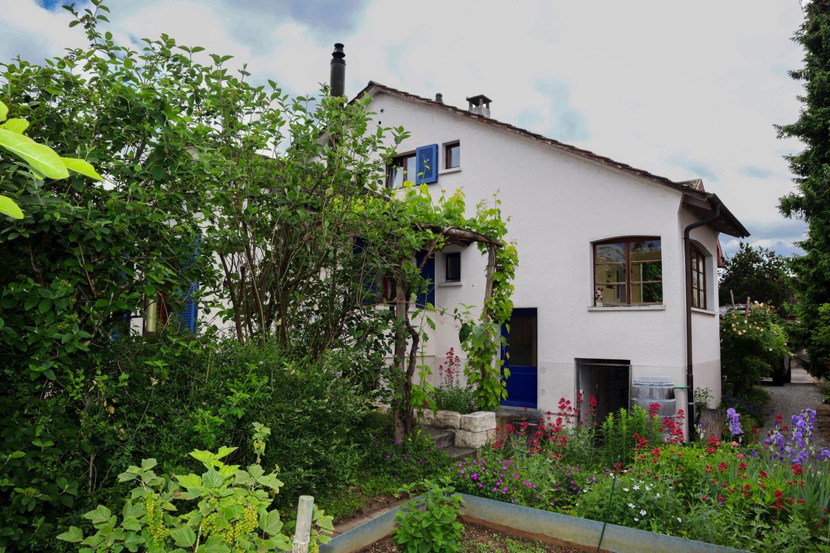 Foto 2