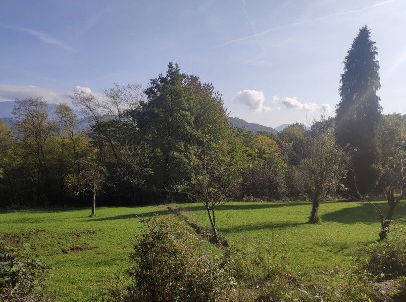 Premier coup d'oeil 1