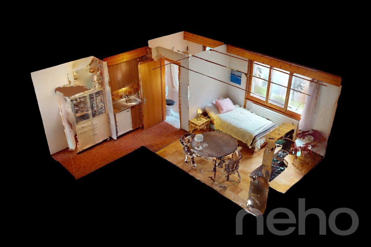 Photo 10