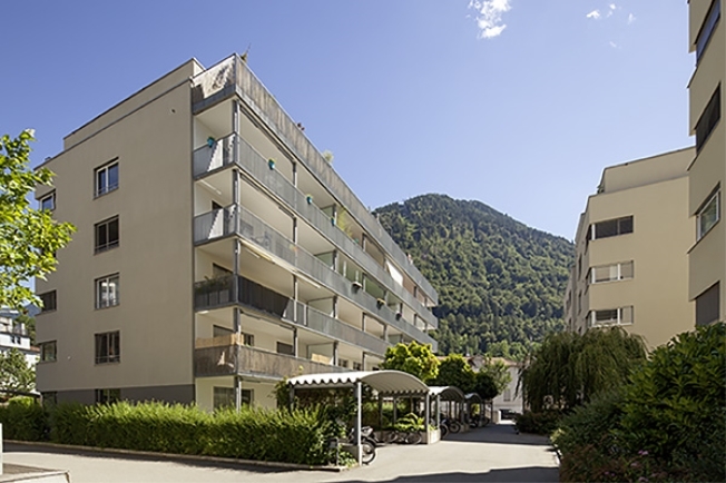 Immagine di copertina