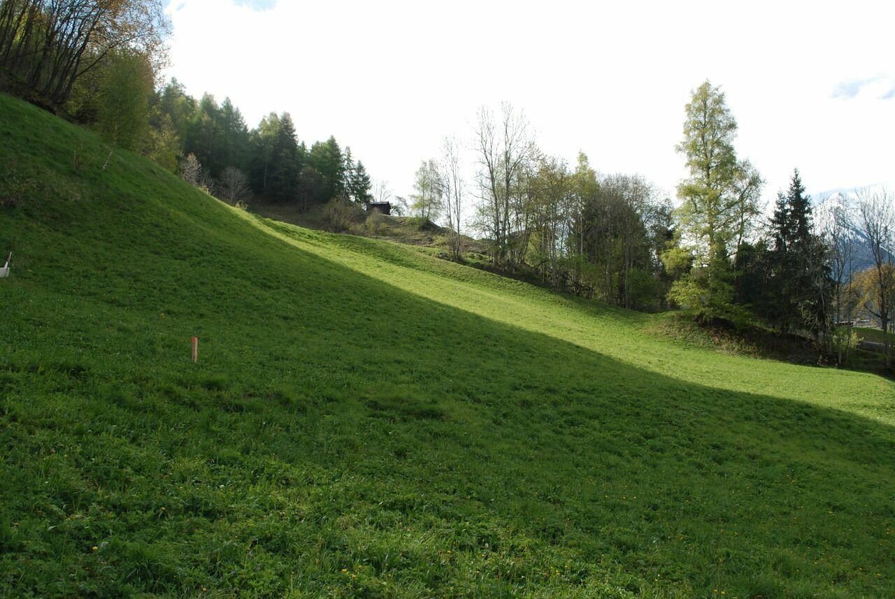 Situation de la parcelle  Situation de la parcelle