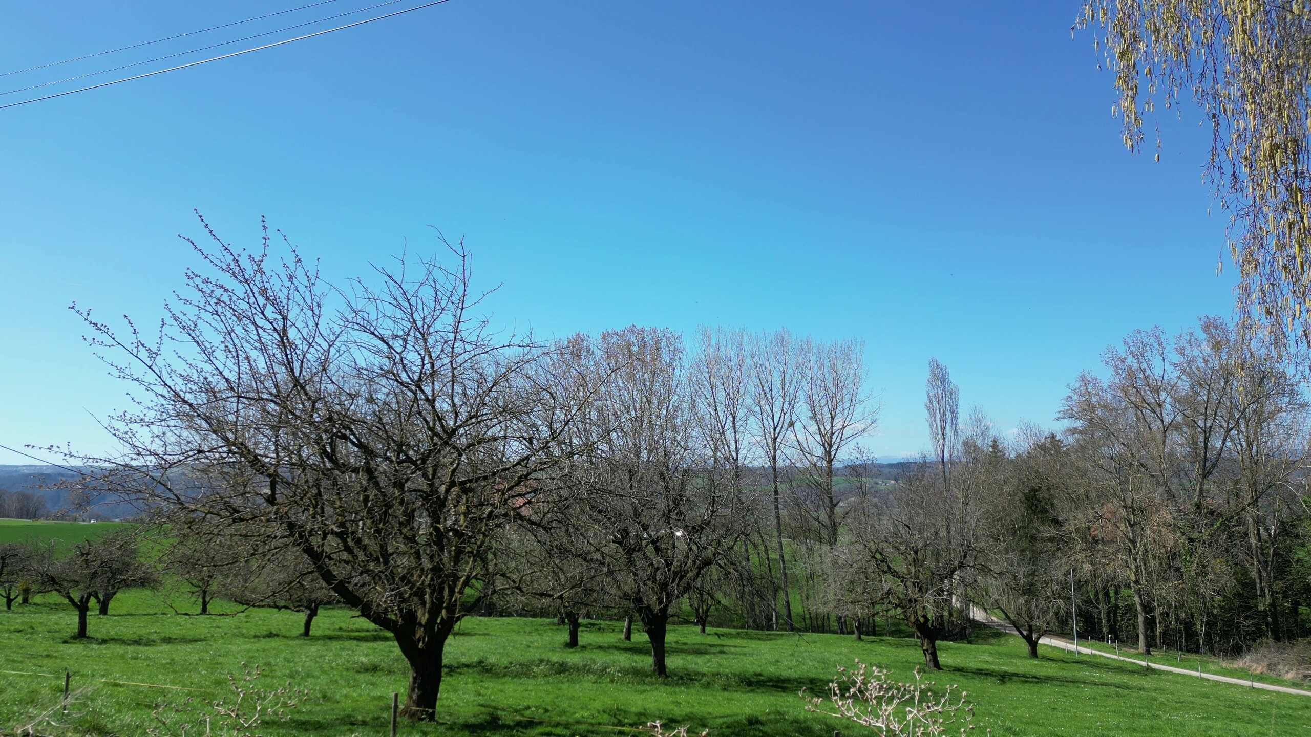 Vue depuis le jardin