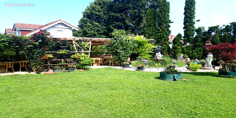 Foto 14